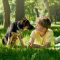 Quand chien et enfant sont fatigués