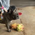 La maison est parsemée de jouets, mais il s’ennuie…