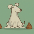 Questions gênantes (mais nécessaires) quand on veut un chien